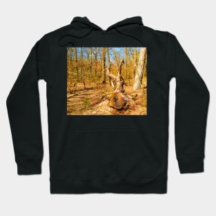 Landscape with uprooted tree Hoodie